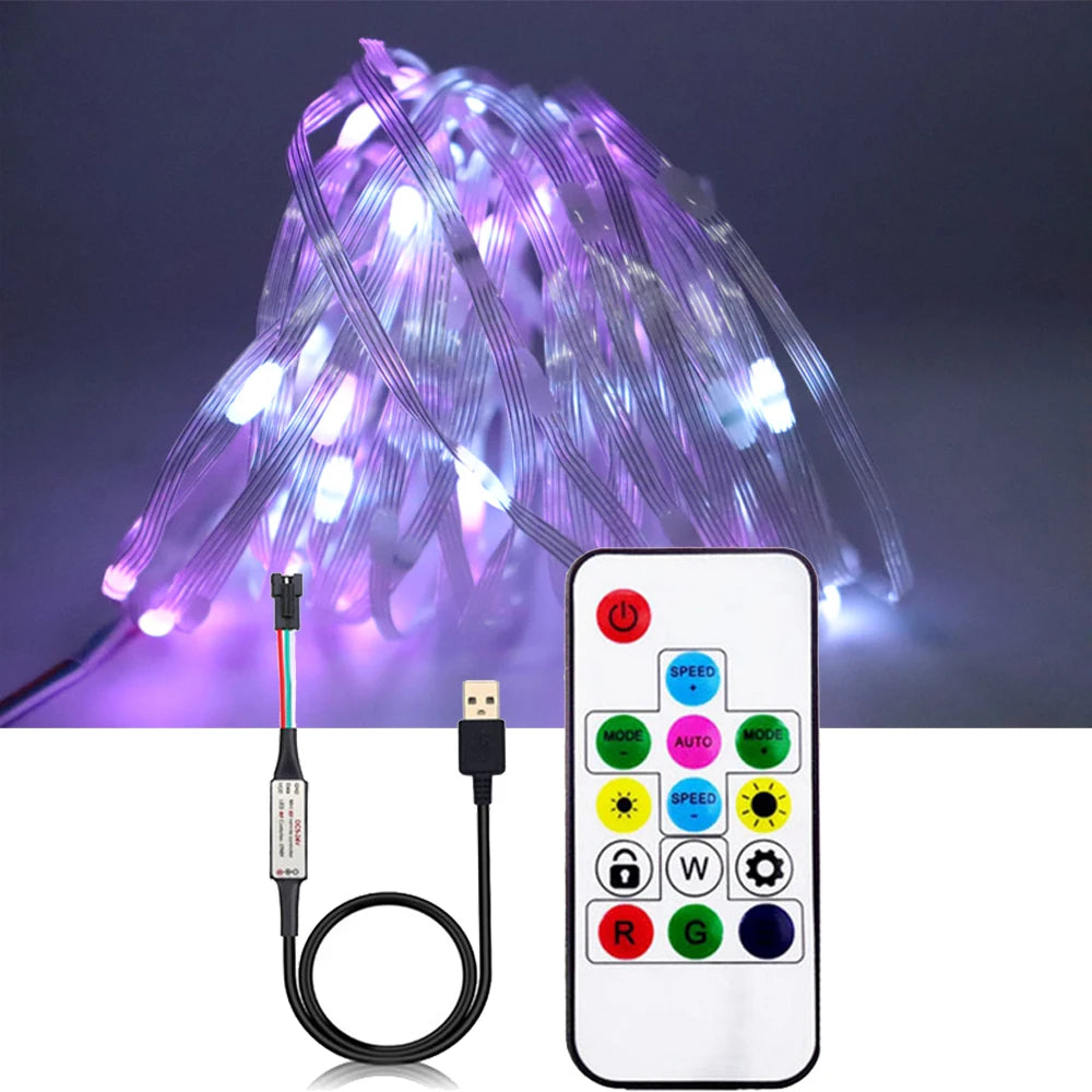 USB WS2812B LED String Christmas Lights WS2812 RGB Led Strip Bluetooth Music Full Color Addressable Individually DC5V