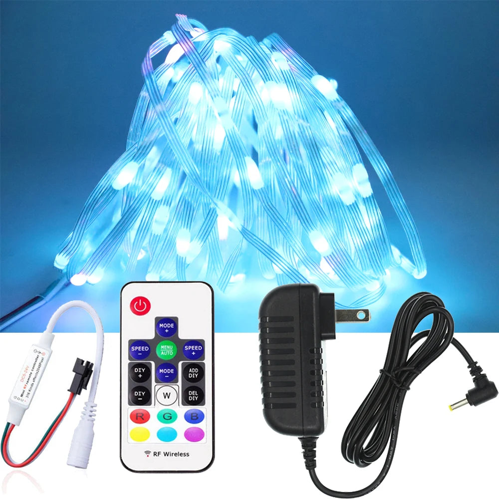 USB WS2812B LED String Christmas Lights WS2812 RGB Led Strip Bluetooth Music Full Color Addressable Individually DC5V