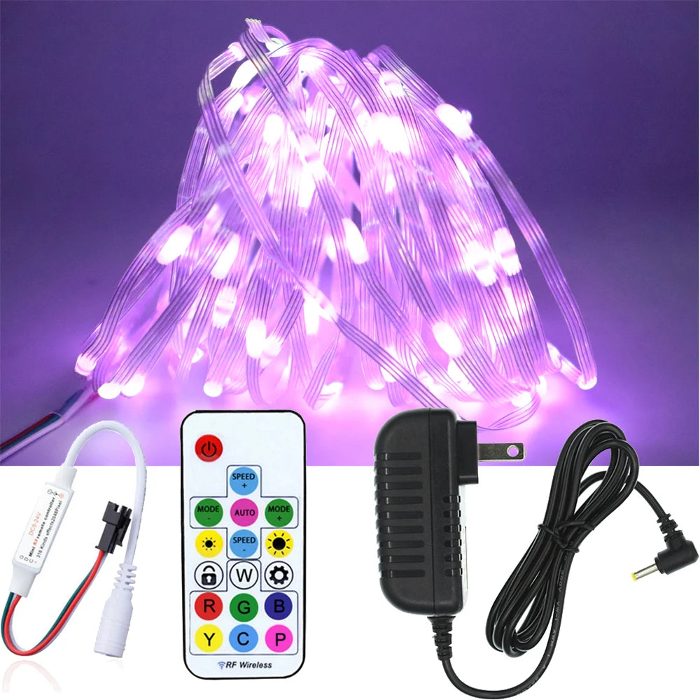 USB WS2812B LED String Christmas Lights WS2812 RGB Led Strip Bluetooth Music Full Color Addressable Individually DC5V