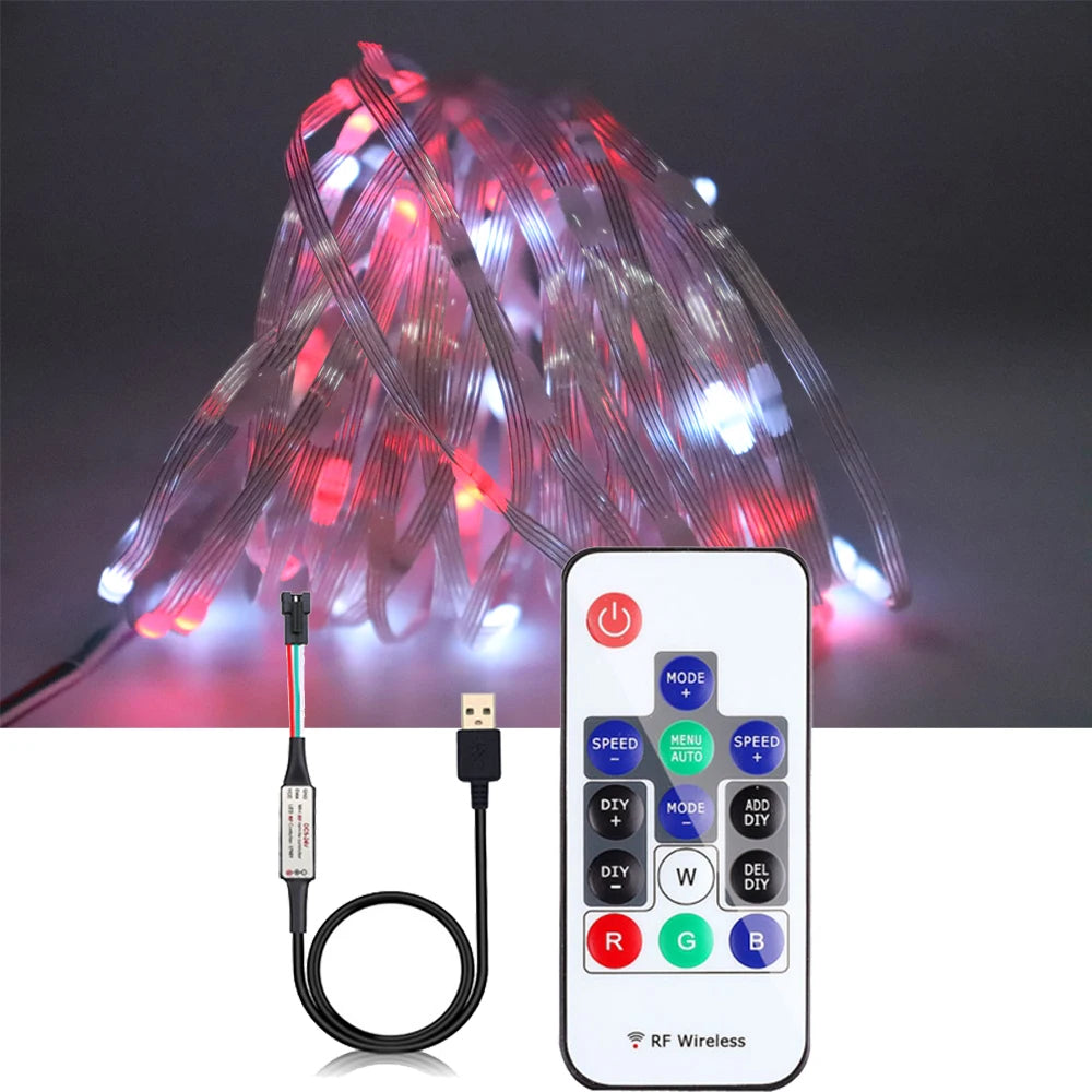 USB WS2812B LED String Christmas Lights WS2812 RGB Led Strip Bluetooth Music Full Color Addressable Individually DC5V