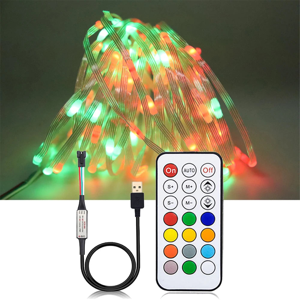 USB WS2812B LED String Christmas Lights WS2812 RGB Led Strip Bluetooth Music Full Color Addressable Individually DC5V