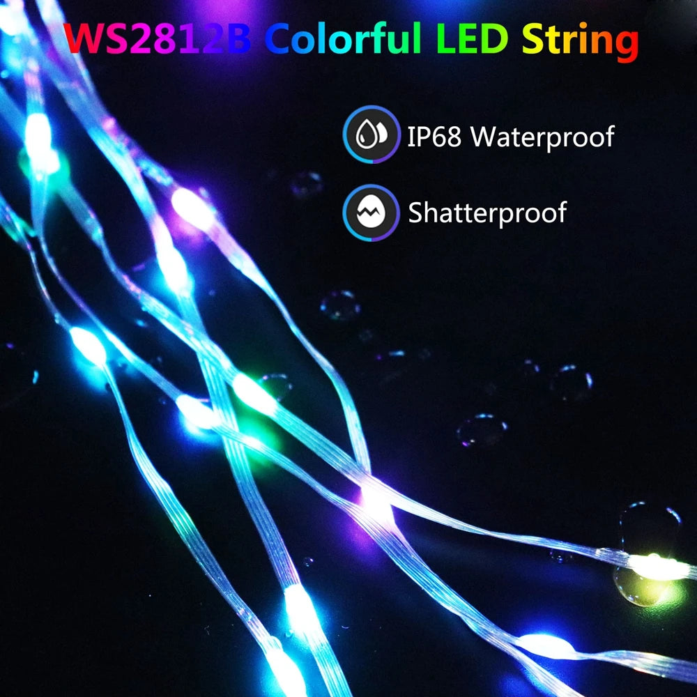 USB WS2812B LED String Christmas Lights WS2812 RGB Led Strip Bluetooth Music Full Color Addressable Individually DC5V