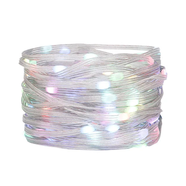 DC5V WS2812B Addressable  LED String  Transparent Green Black Wire WS2812 3PIN Wire RGB Strip Christmas Lights Waterproof Decor