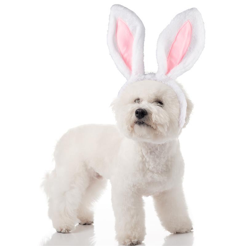 1pc Bunny Ears Decor Pet Headband Cute Dog Rabbit Ears Headwear Pet Headdress For Easter Hair Accessories Pet Supplies - DDD.MARKET