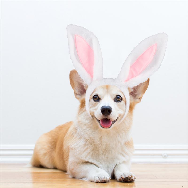 1pc Bunny Ears Decor Pet Headband Cute Dog Rabbit Ears Headwear Pet Headdress For Easter Hair Accessories Pet Supplies - DDD.MARKET