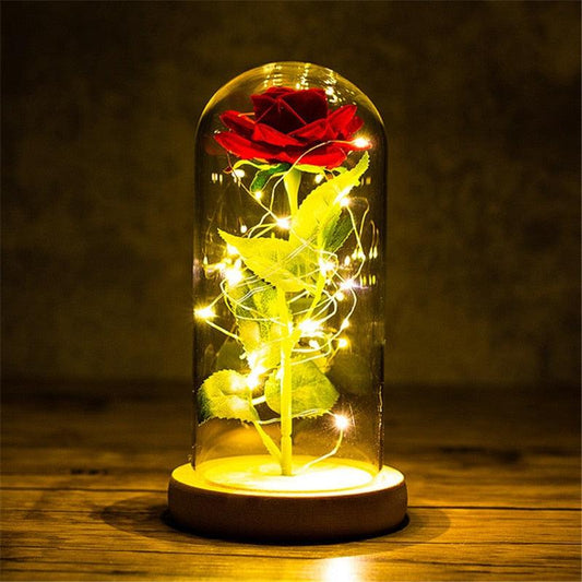 Valentines Day Gift for Girlfriend Eternal Rose LED Light Foil Flower In Glass Cover Mothers Day Wedding favors Bridesmaid Gift - DDD.MARKET