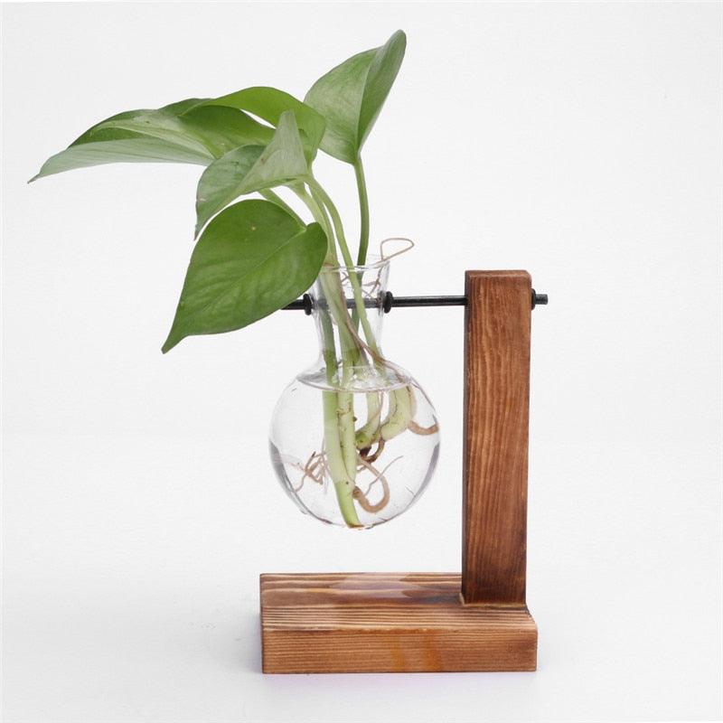 Glass and Wood Vase Planter Terrarium Table Desktop Hydroponics Plant Bonsai Flower Pot Hanging Pots with Wooden Tray Home Decor - DDD.MARKET