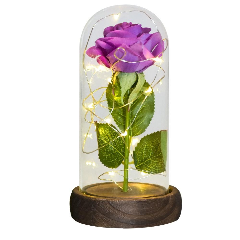 Valentine Gift Beauty and The Beast Preserved Roses In Glass Galaxy Rose Flower LED Light Artificial Flower Gift for Women Girls - DDD.MARKET